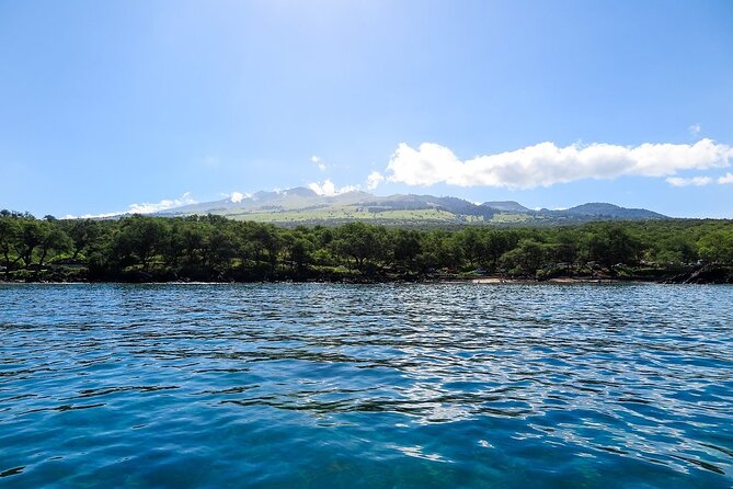 Private Beginner Paddleboard Lesson with Snorkel in Turtle Town - Guides who teach, explain, and take photos