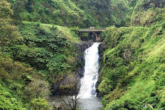 Private Full Day Maui Road to Hana Tour - Why a private Road to Hana day makes sense