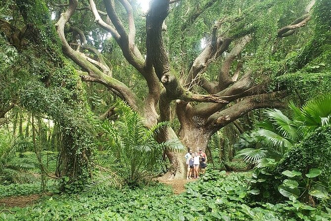Private Full Day Maui Road to Hana Tour - Black sand beaches and lava caves