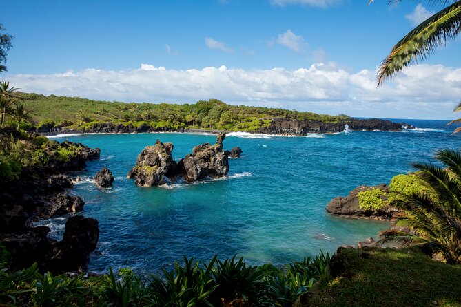 Private Full-Day Waterfall Beach and Jungle Tour of Maui - Red Sand Beach for experienced hikers