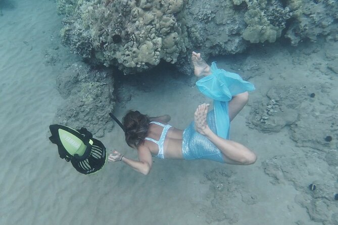 Private Guided Tours Beach Entry with Sea Scooters up to 5 guests - What the $650 price includes