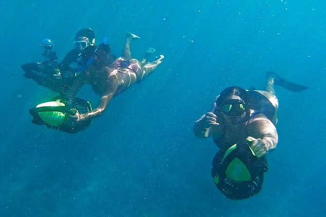 Private Guided Tours Beach Entry with Sea Scooters up to 5 guests - Reef education, cameras, and the purpose behind the fun