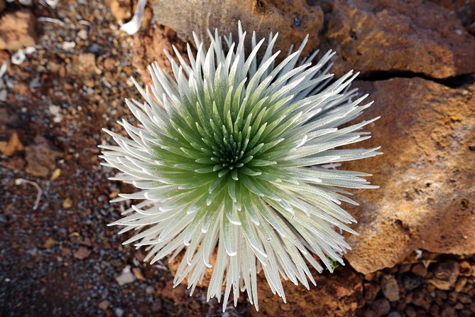 Private Haleakala Summit & Stroll from Kahului - Pa Kaʻoao Trail and the crater rim