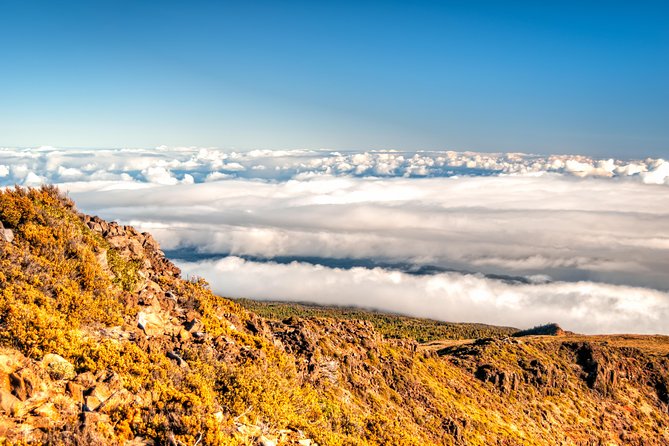 Private Haleakala Summit & Stroll from Kahului - Snacks, water, and the value of a private tour