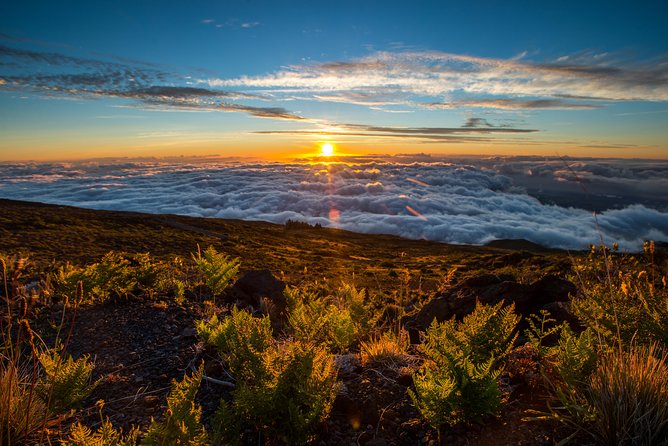 Private Haleakala Summit & Stroll from Kahului - From Kahului to Haleakalā’s changing countryside
