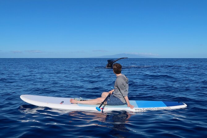 Private Paddleboard (SUP) Whale Watch: All Skill Levels Welcome - Following the Wailea-Makena coastline
