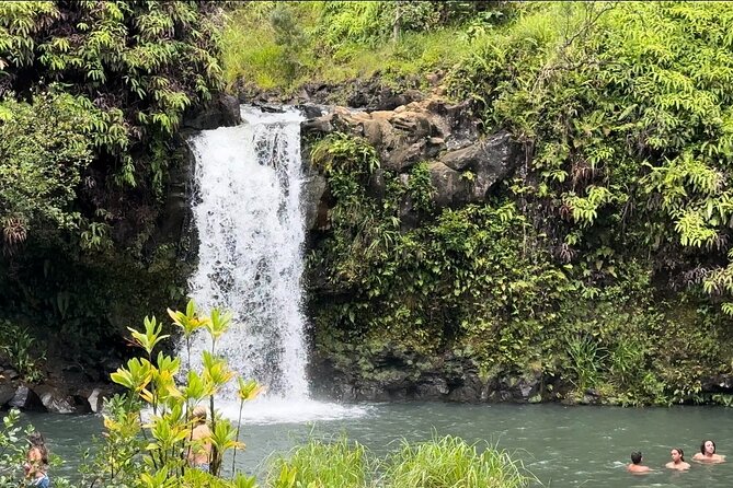 Private Road to Hana Maui Open-Air Jeep Tour - Why a private Road to Hana tour can be worth the cost