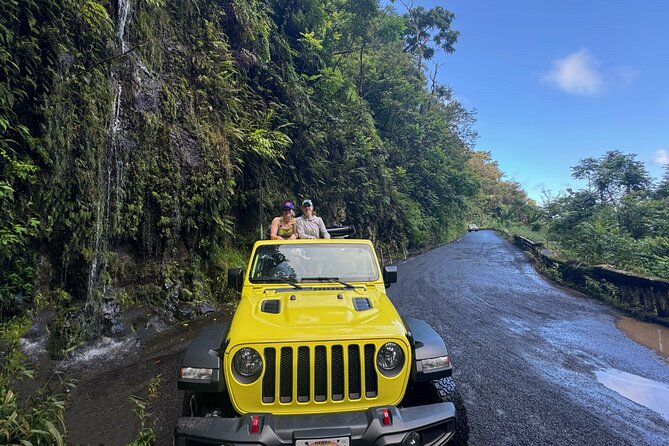 Private Road to Hana Maui Open-Air Jeep Tour - Bamboo and rainbow eucalyptus along the Hana Highway