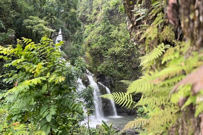 Private Road to Hana Maui Open-Air Jeep Tour - Keanae Point is made for photos and a picnic break