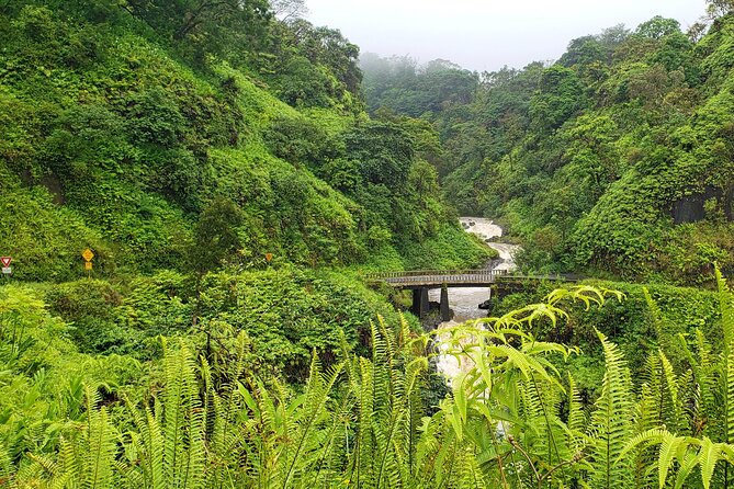 Private Road to Hana or any Maui destination in Luxury Mercedes Sprinter - What your day around Hana may look like