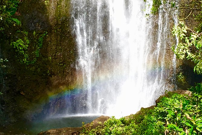 Private Road to Hana Tour - Lava tubes, red sand, and Hamoa Beach