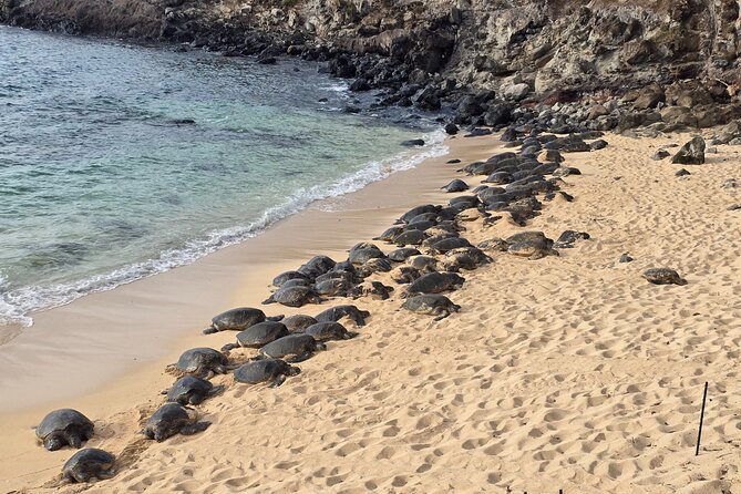 Private Road to Hana Tour with Pickup - Key points to know before booking