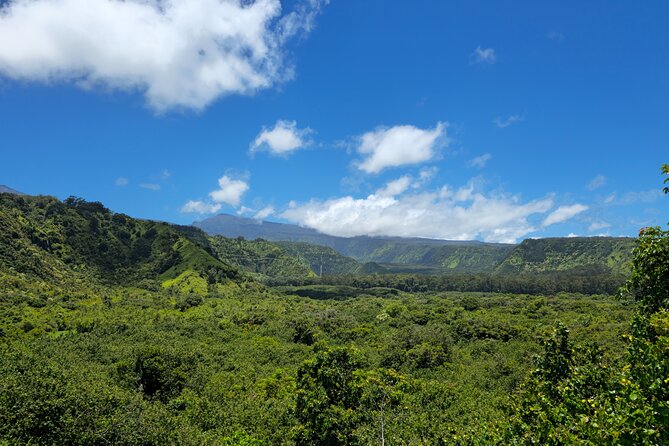 Private Road to Hana Tour with Pickup - Pua‘a Ka‘a offers the day’s best water stop