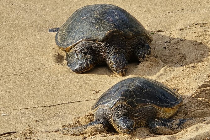 Private Road to Hana Tour with Pickup - Koki Beach mixes red sand, surf, and local lunch