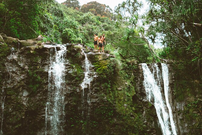 Private Road To Hana Tour with Professional Photos Included - The $650 price and what you receive