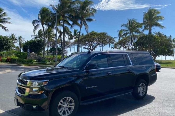 Private Round-Trip Transfer: Maui Kahului Airport to Maui Hotels - Booking details that can prevent trouble