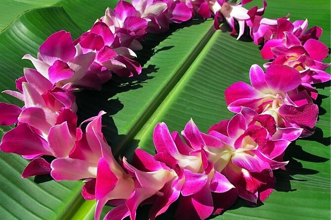 Private Round-Trip Transfer: Maui Kahului Airport to Maui Hotels - Who will get the most from this transfer?