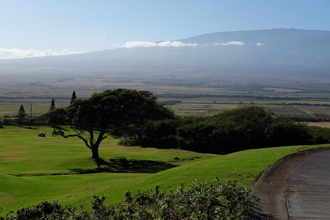 Private Shore Excursion: Best Highlights of Maui - Wildlife sightings and flexible alternatives