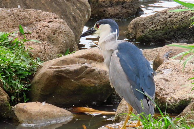 Private Shore Excursion: Best Highlights of Maui - Who will enjoy this shore excursion most