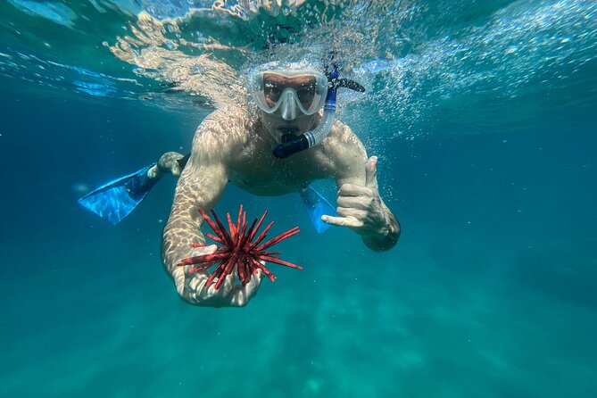 Private Snorkel Photos Included - Getting comfortable before you go farther
