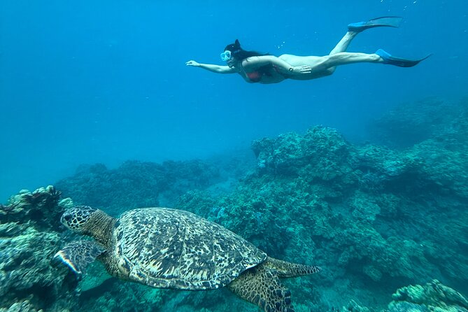 Private Snorkel Photos Included - What the 2.5-hour beach setup includes