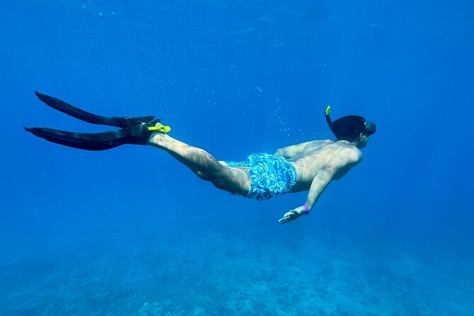 Private Snorkel Photos Included - Turtles, rays, octopus, and the search for sea life