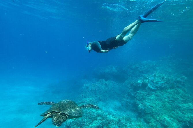 Private Snorkel Photos Included - Who should book this Maui beach snorkel?