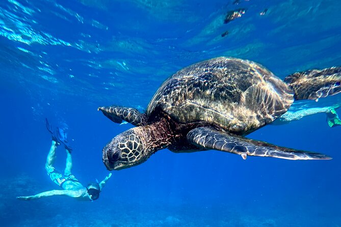 Private Snorkel Photos Included - Choosing the beach by the day’s conditions