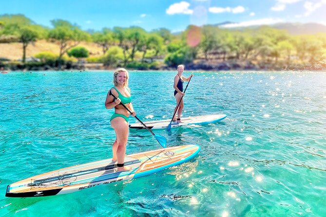 Private Stand Up Paddle Boarding Tour in Turtle Town, Maui - Turtles, coral, and the chance of a monk seal
