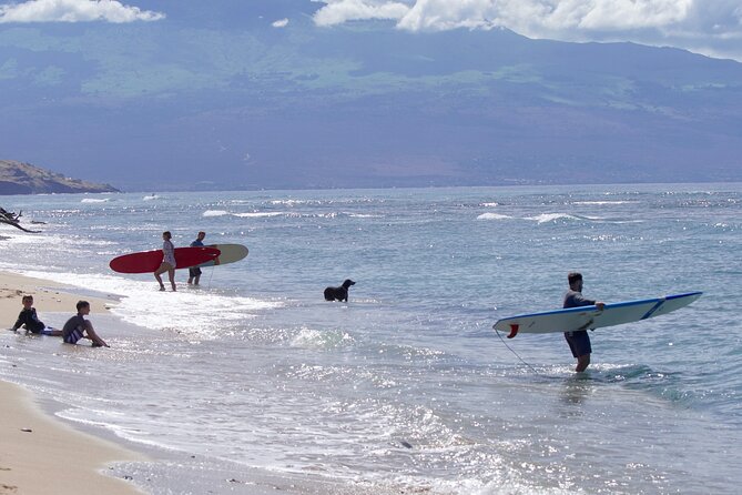 Private Surf Lesson for One Near Lahaina - What the instructor can adjust for you