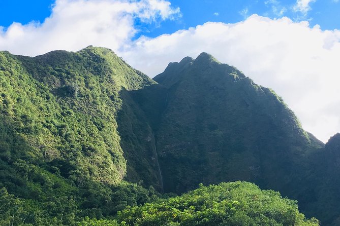 Private Tour of Maui, the Valley Isle - Honolua Bay and the choice between walking and snorkeling