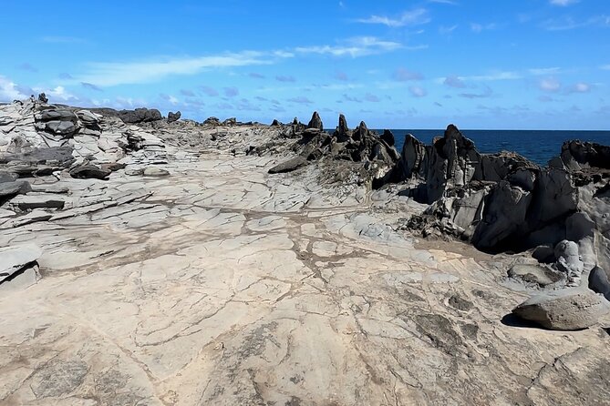 Private West Maui Coastline Open-Air Jeep Tour - Napili Bay is the main break