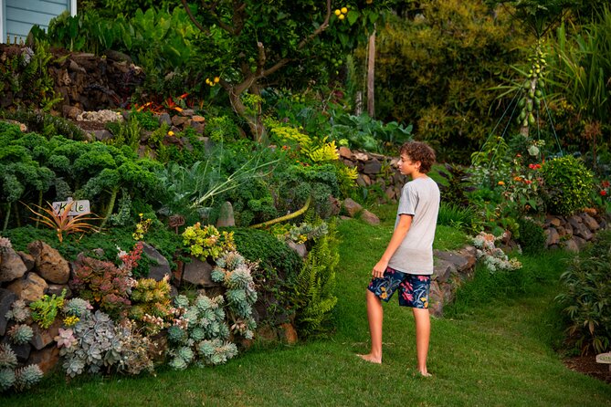 Pueo Farm Tour (1.5 hr) Upcountry Kula Maui Hawaii - Regenerative farming explained in plain terms