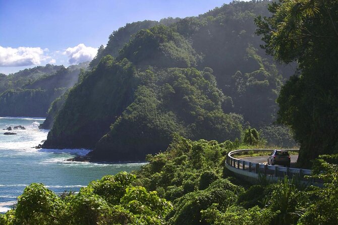 Rainforest Tour to Hana and Beyond - Why this Road to Hana tour works