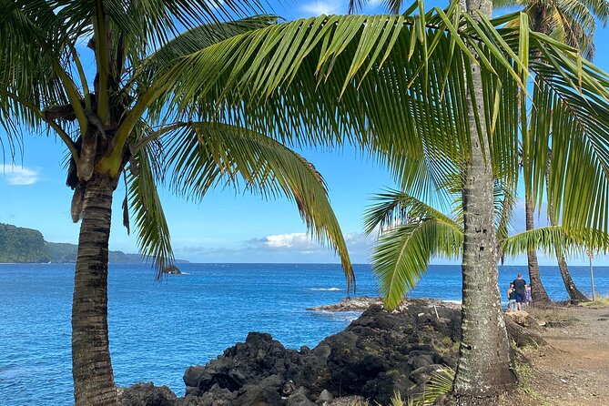 Rainforest Tour to Hana and Beyond - Keʻanae’s lava rock and working coast
