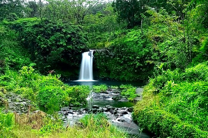 Rainforest Tour to Hana and Beyond - Fruit stands and the Halfway to Hana pause