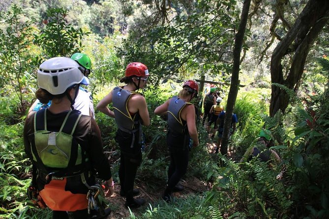 Rappel Maui Waterfalls and Rainforest Cliffs - Rain, flooding, and changing rappel sites