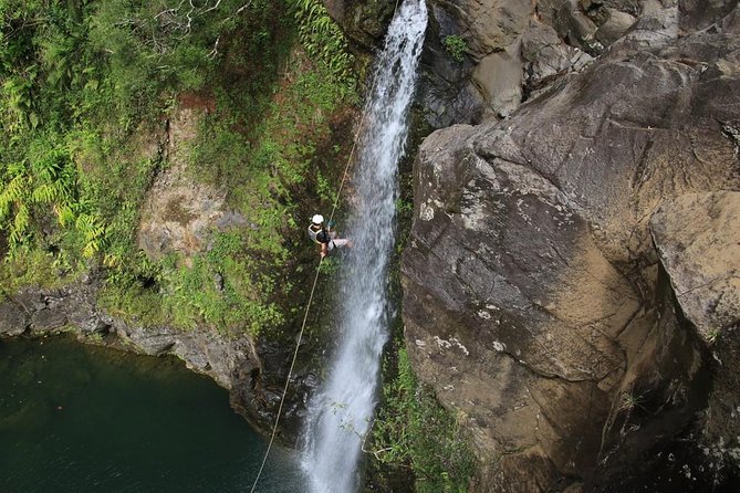 Rappel Maui Waterfalls and Rainforest Cliffs - From small cliffs to a 30-foot waterfall