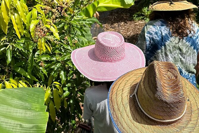 Regenerative Mango and Tropical Fruit Tour in West Maui - Key points to know before you book
