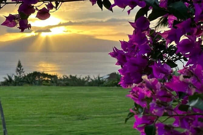 Regenerative Mango and Tropical Fruit Tour in West Maui - Why the eight-person limit matters