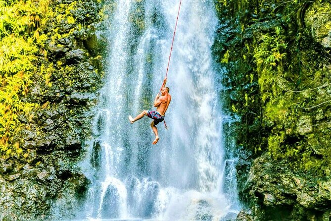 Road To Hana Black Sand Beach Waterfalls & Turtles Tour - What the 6.5-hour schedule feels like