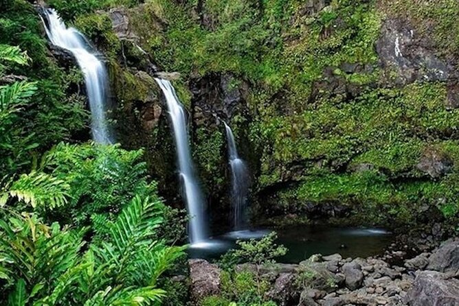 Road to Hana Deluxe Rainforest and Waterfall Experience from Oahu - Ho’okipa Beach Park and the power of the north shore
