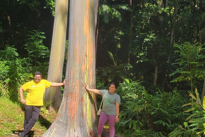 Road to Hana Full Day Tour with A Guide - Koki Beach’s red sand and Wailua Falls