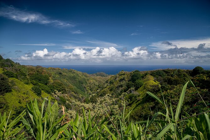 Road to Hana Halfway and Haleakala National Park - Seeing Science City from the summit