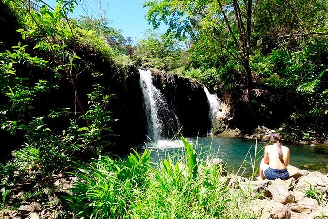 Road to Hana in Mercedes Van: Waterfalls and Black Sand Beach - Early stops at Pāʻia and Ho‘okipa Beach
