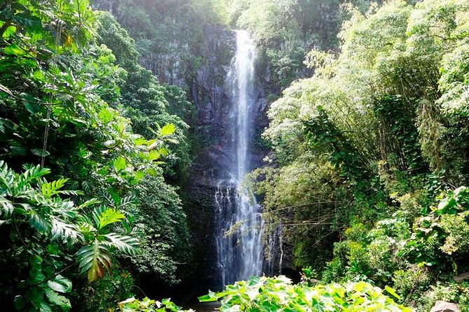 Road to Hana in Mercedes Van: Waterfalls and Black Sand Beach - Waterfalls, swimming, and sensible caution