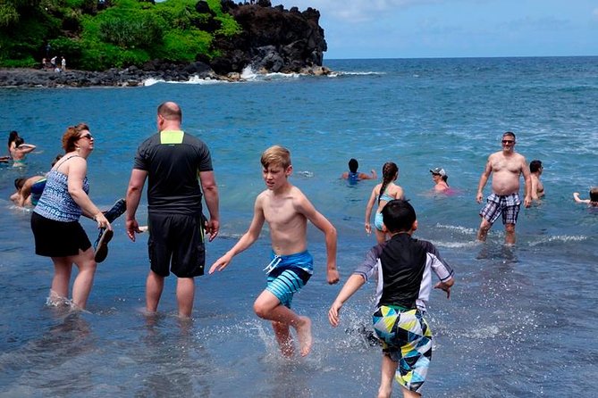 Road to Hana in Mercedes Van: Waterfalls and Black Sand Beach - The Mercedes van, group size, and comfort