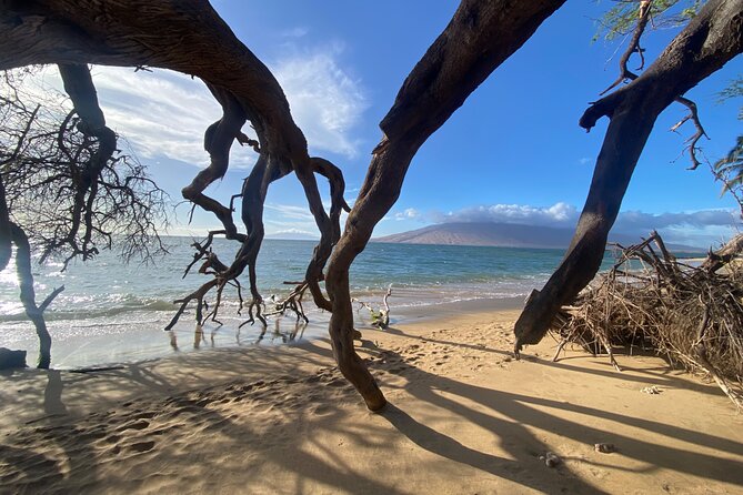 Road to Hana Maui Tours - Why this Road to Hāna tour feels different