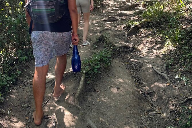 Road to Hana Maui Tours - Lava tunnels and the bamboo forest