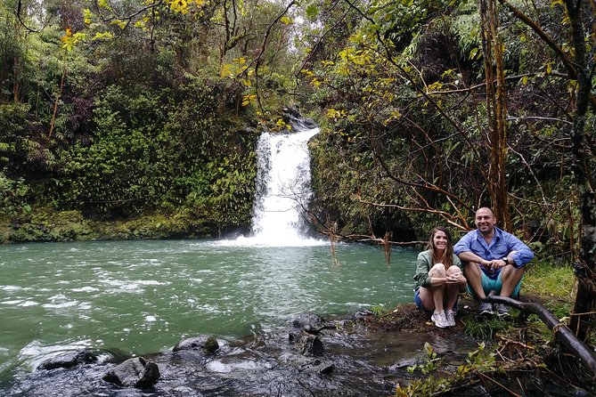 Road To Hana: Maui Waterfall Hiking Tour in Private Jeep - Black sand, sea turtles, and coastal stops